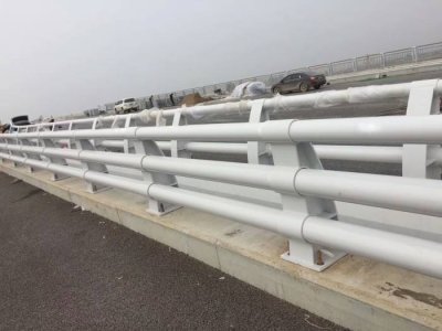 道路不銹鋼防撞護欄 白色